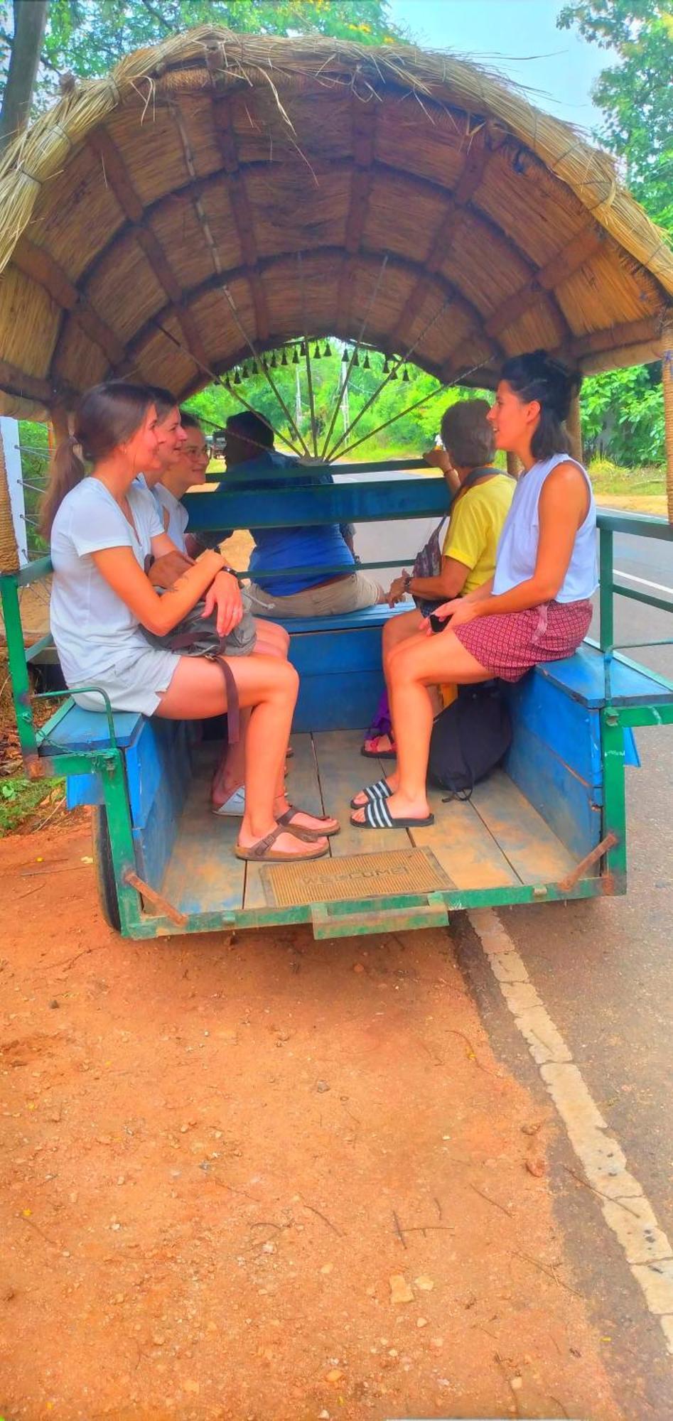 Sigiriya Nature Resort Zewnętrze zdjęcie